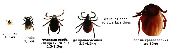 foto 2018 06 04 17 004