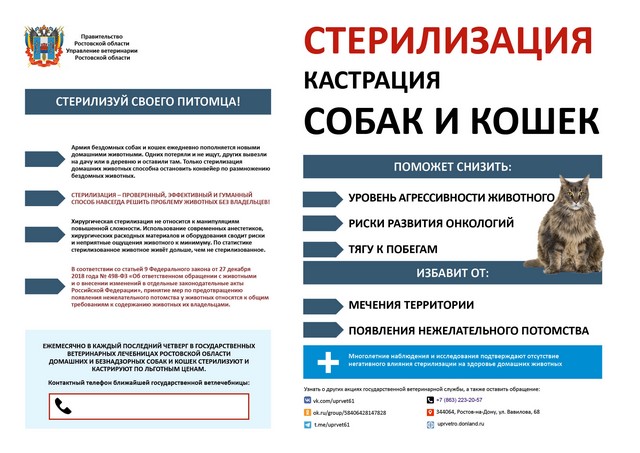 pravila vigula sobak 2